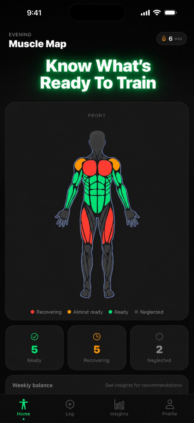 The muscle map — what is recovered, and what is still under repair.