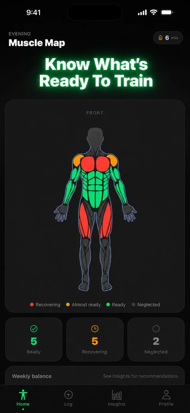 MuscleReady's muscle map, showing which groups are recovered